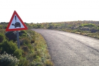 喜望峰自然保護区　カメ注意の道路標識