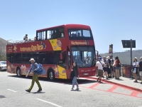 City Sightseeingバス