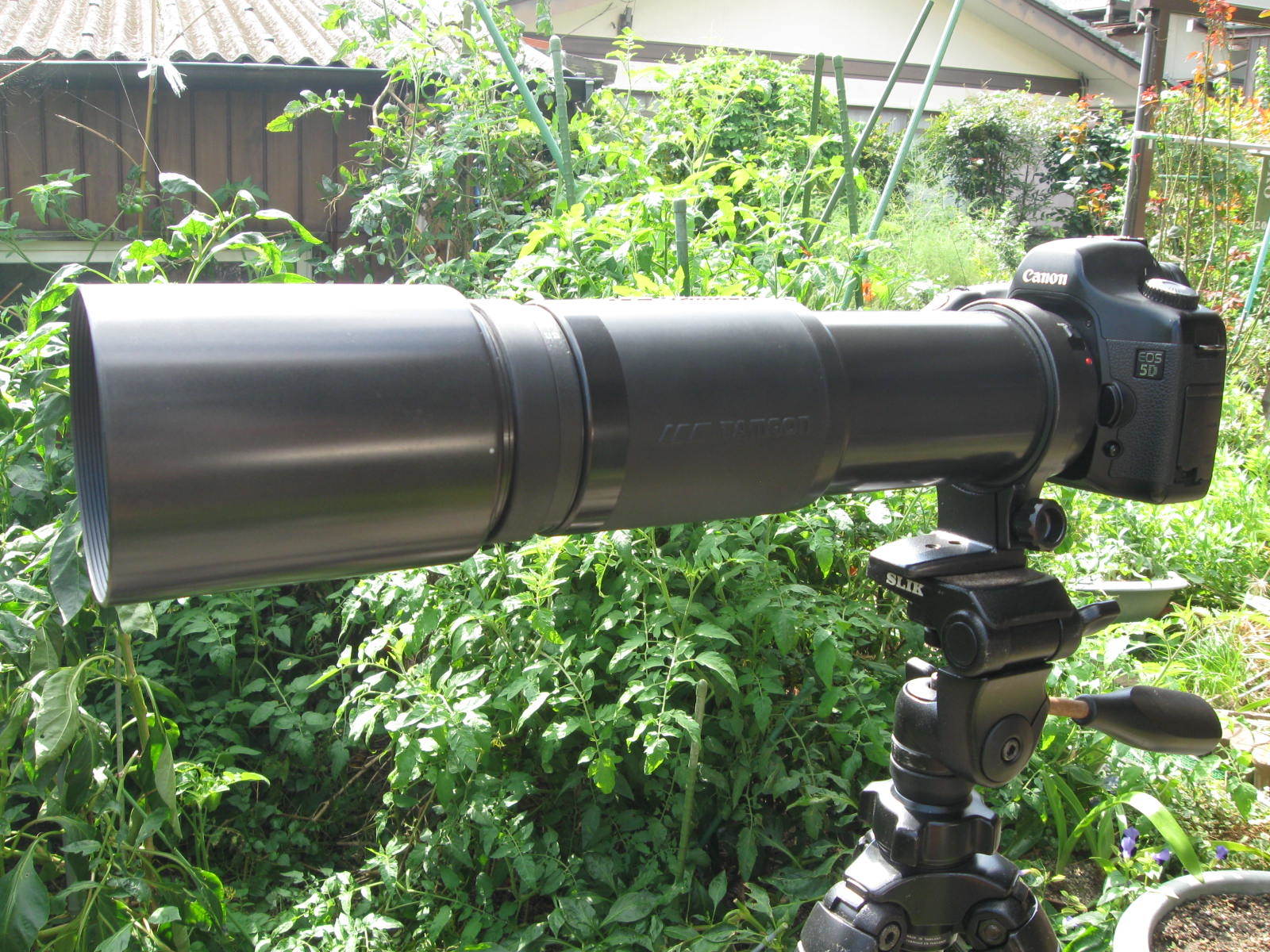 TAMRON AF 200-400mm F5.6 LD IF [75D] 貧者の望遠レンズの実力は