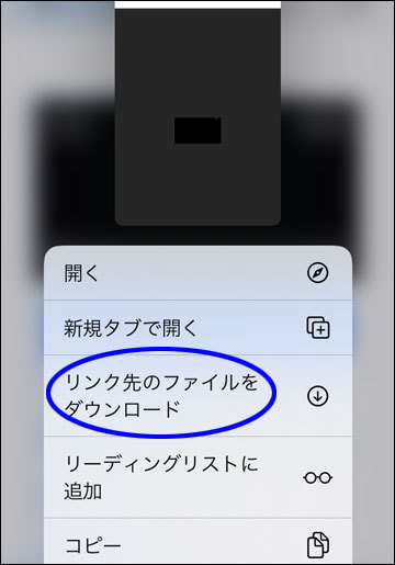 iOS13以上でGirls Deltaの動画をダウンロード