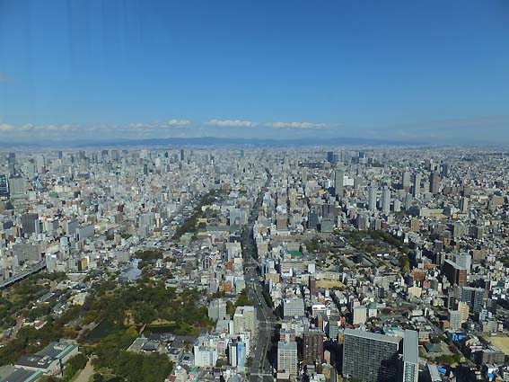 展望台から望む大阪市街