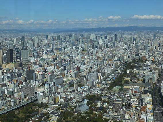展望台から望む大阪市街