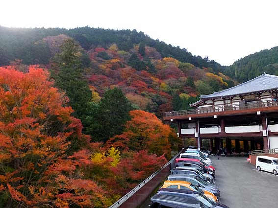 善峯寺から見る山の紅葉