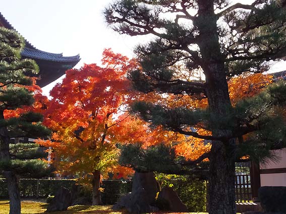 東福寺境内の紅葉