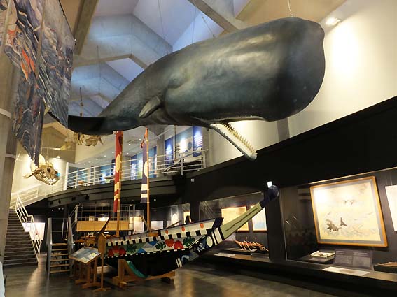 「鯨館」中央のメイン展示