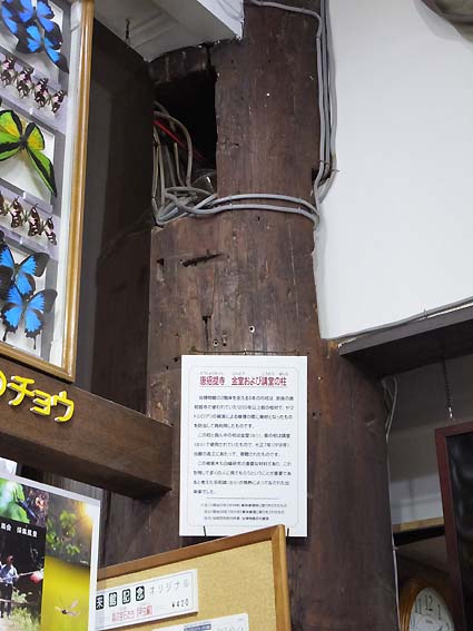 奈良県唐招提寺で使用されていたヒノキ材