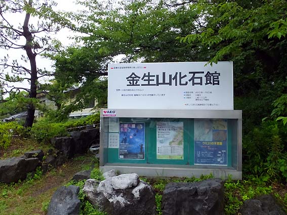 金生山化石館