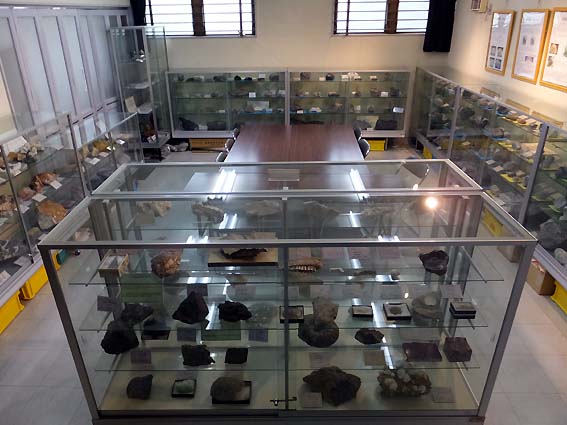 金生山化石館の化石展示