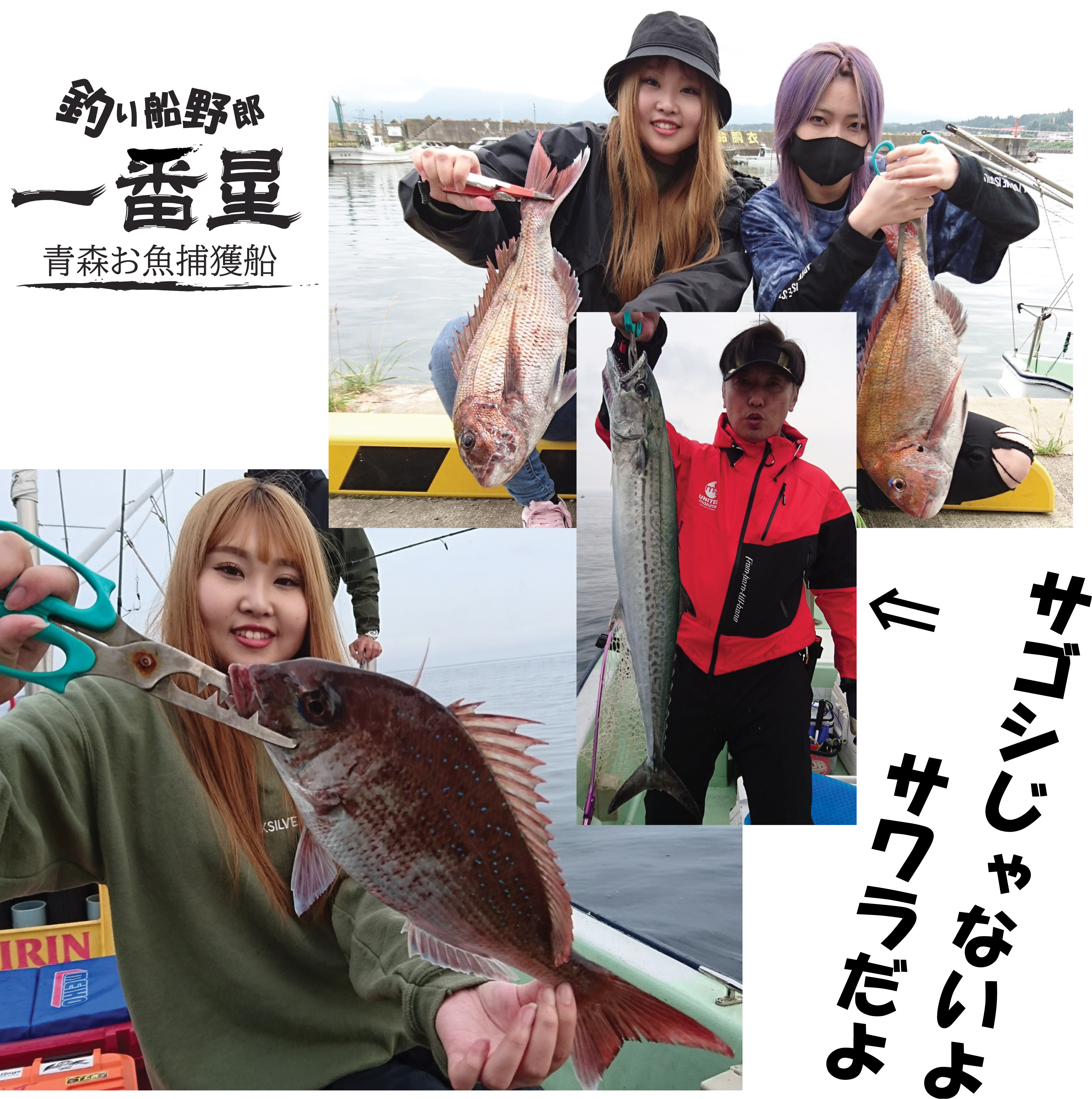 ブログ 青森 釣り 青森県内の個人やクラブで運営している釣り情報のホームページやブログ